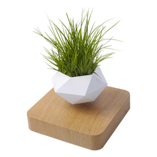 Magisk Svävande Blomkruka