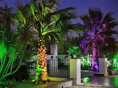 LjusSpår Solar – Solcells Trädgårdsstrålkastare RGB Flerfärgad photo review