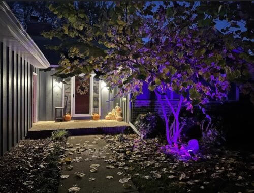 LjusSpår Solar – Solcells Trädgårdsstrålkastare RGB Flerfärgad photo review