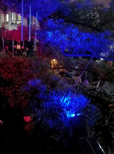 LjusSpår Solar – Solcells Trädgårdsstrålkastare RGB Flerfärgad photo review